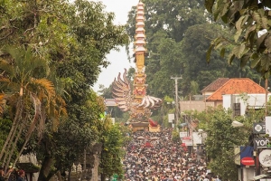 Royal Cremation Ceremony in Ubud with highest bade in world